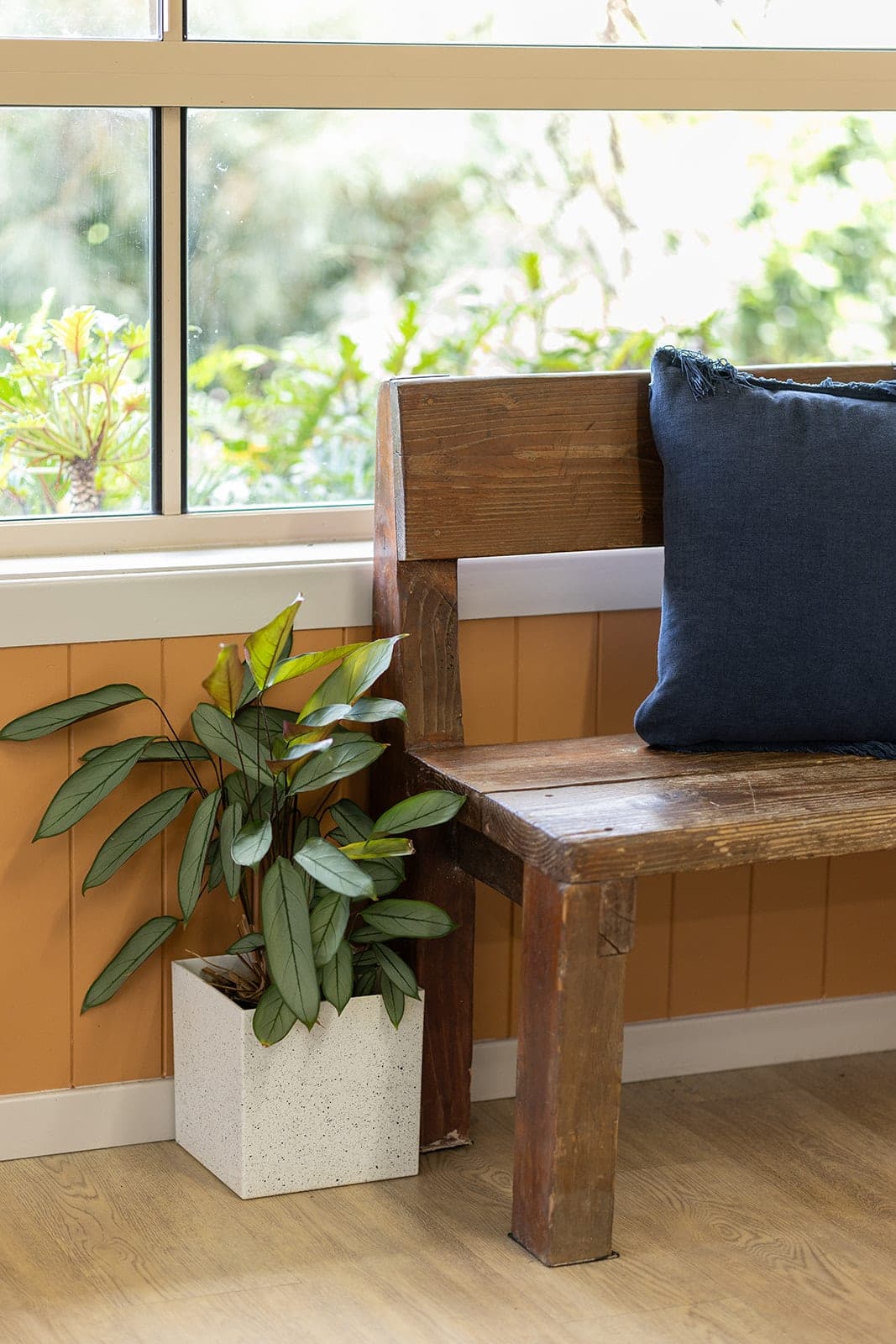 Timber bench with cushions and a potted plant in a sunny reading nook