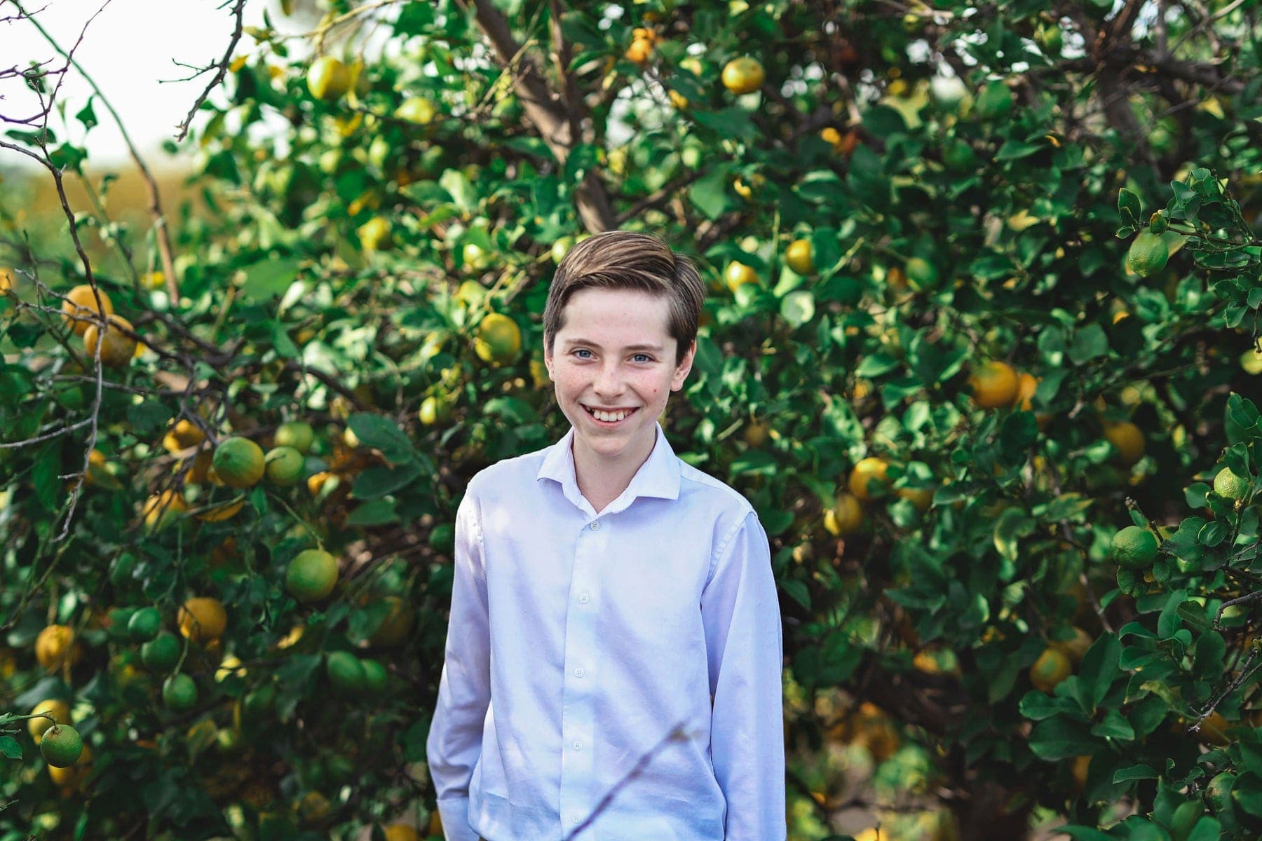 Portrait of a boy in a white shirt among citrus trees
