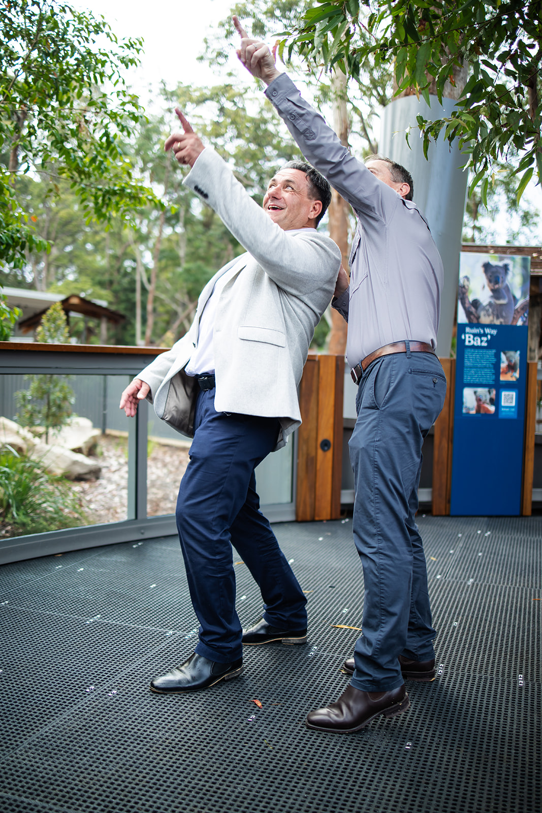 Two men on the raised walkway pointing excitedly up into the eucalyptus trees